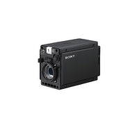 HDCP31
