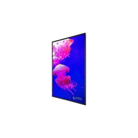 Planar UltraRes X URX85 85" LED-backlit LCD display - 4K - for digital signage / interactive communication - TAA