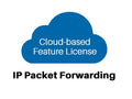 Patton CBFL-IPR Cloud Feature License, IP Routing, 12 Months