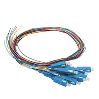 Cleerline PT-SC12-SM-1M BendSafe 900um Fiber Optic Pigtail Assembly, 12 Fiber, SC/UPC, 9 µm OS2, 1m