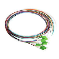 Cleerline PT-LC12-SM-APC-3M Fiber Optic Pigtail Set, 12-Fiber OS2, Simplex LC/APC to Blunt, 900 µm Buffered, (3.0m) 9.8'