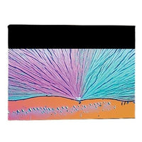 Draper 114233 Paragon E Electric Projection Screen, 278″ Diagonal, 16:10, Matt White