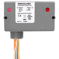 Functional Devices RIBHX24BF Enclosed Relay 20A 24V AC/DC