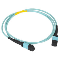 ICC ICFOJATQ80 NCNR 12-Fiber Jumper, MTP-MTP, Multimode, 50/125 OM4