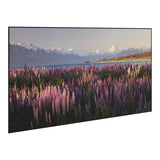 Da-Lite DL17005 Parallax Thin Fixed Frame Projection Screen, Wall Mounted Screen with Beveled Frame, 16:9 HDTV HDTV Parallax Pure UST 0.6, 120" Screen