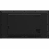 Hisense 43DM66D 43" 4K UHD Digital Signage Display - 24/7 Operation - rear