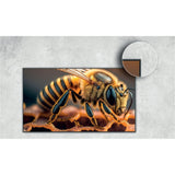 Hisense 43DM66D 43" 4K UHD Digital Signage Display - 24/7 Operation - alternate image3