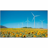 Hisense 65DP30FE 4K UHD Digital Signage Display - 16/7 Operation - front