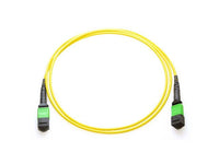 Axiom AXG95173 MPO-MPO OS2 M/M Fiber Cable 20M