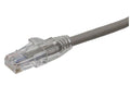 Axiom AXG98366 2FT CAT6 Shielded Cable - Gray