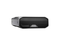 SanDisk SDPHG1H-006T-NBAAD G-Drive Project, 6TB Thunderbolt 3 (40Gbps), USB 3.2 Gen 2x1 (10Gbps)