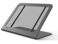 Heckler H750X-BG WindFall Stand for iPad 10th Generation - Black Grey