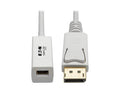 Eaton Tripp Lite P134-06N-MDP DisplayPort to Mini DisplayPort Adapter Video Converter , 4K 60 Hz (M/F), 6 in. (15.2 cm)