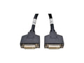 Eaton Tripp Lite P576-001 DMS-59 to Dual DVI Splitter Y Cable (M to 2x DVI-I F), 1 ft. (0.31 m)