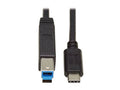 Eaton Tripp Lite U422-20N-G2 USB-C to USB-B Cable (M/M) - USB 3.2 Gen 2 (10 Gbps), Thunderbolt 3 Compatible, 20 in. (51 cm)