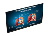 Planar URL122-MFT, 122in Dvled Touchscreen Display, TAA, FHD, 1.4mm, 800 nit, HDR, 24x7, Multi-source, Spkrs, Landscape,