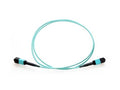 Axiom 980-9I573-00N025-AX MPO-MPO OM4 F/F Fiber Cable 25m