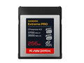 SanDisk SDCFEB-256G-GN4NN 256GB CFexpress 4.0 Type B Cards