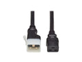 Eaton P036-EN4 PDU Power Cord, C19 to P-Lock Lite C20 - 20A, 250V, 12 AWG, 4 ft. (1.2 m), Black