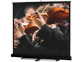 Da-Lite 93895 Model C Floor 10' x 10' Matte White Cpt Black Manual Projection Screen