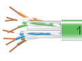 Black Box EYN879B-PB-1000 CAT6 550-MHz Solid Ethernet Bulk Cable - Unshielded (UTP), CMP Plenum, Green, 1000-ft. (304.8-m) Pull-Box