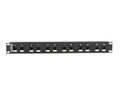Black Box JSM112A CAT6 Surge-Protected Patch Panel - 1U, 1
