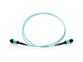 Axiom MPOFFOM35M-AX MPO-MPO OM3 F/F Fiber Cable 5m