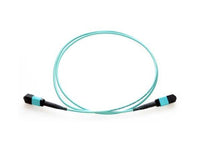 Axiom MPOFFOM41.5M-AX MPO Female to MPO Female Multimode OM4 50/125 Fiber Optic Cable 1.5m