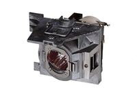 ViewSonic RLC-113 Projector Replacement Lamp for PG703W