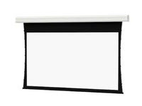 Da-Lite 24867F Tensioned Advantage Deluxe 298" Diag. HD Progressive 1.3 Electric Projection Screen