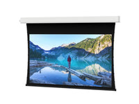 Da-Lite 34528FLS Tensioned Advantage 94" Diag. Da-Mat - Surface, Roller & Motor Assembly Only (installs into matching B case)