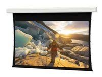 Da-Lite 36921B Tensioned Advantage Deluxe 275" Diag. HD Progressive 0.9 (HRV) Electric Screen - Case/Housing Only (order with matching F surface assembly)