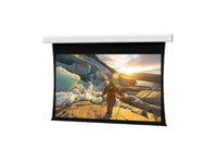 Da-Lite 36921E Tensioned Advantage Deluxe 275" Diag. HD Progressive 0.9 (HRV) Electric Projection Screen, 220V
