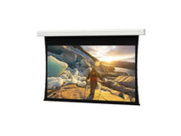 Da-Lite 36926F Tensioned Advantage Deluxe 298" Diag. HD Progressive Contrast 1.1 - Surface, Roller & Motor Assembly Only (installs into matching B case)