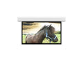 Da-Lite 36990L Advantage 20' x 20' Matte White Electric Projection Screen