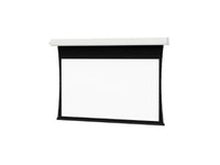 Da-Lite 84347FLS Tensioned Advantage 100" Diag. Da-Mat - Surface, Roller & Motor Assembly Only (installs into matching B case)
