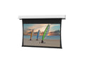 Da-Lite 88254F Tensioned Advantage Deluxe 120" Diag. Da-Mat - Surface & Roller & Motor Assembly Only (installs into matching B case)