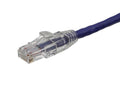 Axiom AXG99671 50FT CAT6 Cable (purple) - TAA