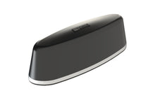 Parsec PTA2BC2L15B Border Collie Series 2-in-1 Antenna