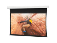 Da-Lite 24722FL Tensioned Advantage 298" Diag. HD Progressive 1.3 Electric Projection Screen