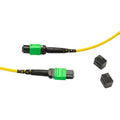 OCC MT12PRF8TK-0060 Pre-Terminated MT-MT Trunk Plenum Cable, 12-Fiber, 60'
