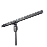 Audio-Technica AT897 LINE + GRADIENT Microphone