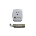 Pach and Co USP2L Lightning Surge Protector for Telephone and Power