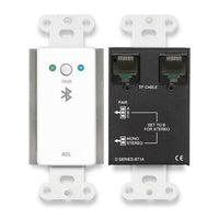 RDL D-BT1AC Wall-Mounted Bluetooth Audio Format-A Interface Faceplate, Custom Label
