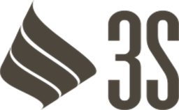 3S Vision